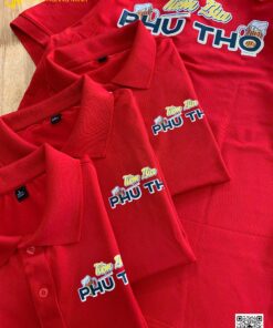 ao thun dong phuc